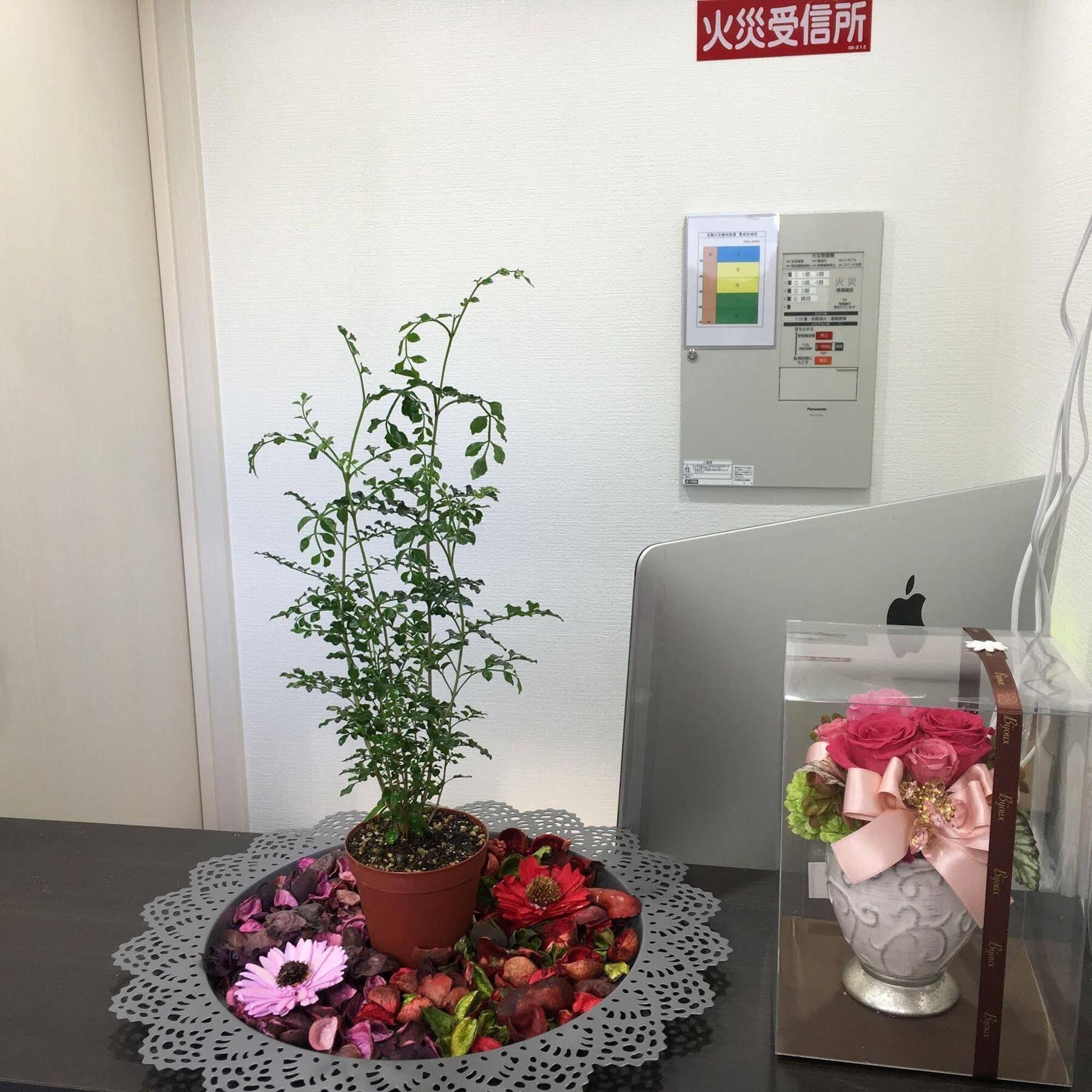 Coco Hostel Namba โอซาก้า ภายนอก รูปภาพ